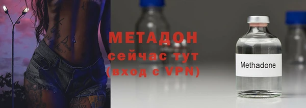 стаф Корсаков