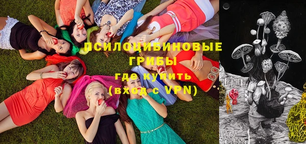 спайс Инта
