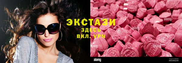 стаф Касимов