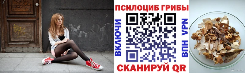 где продают наркотики  Пестово  площадка наркотические препараты  Галлюциногенные грибы Psilocybe  omg ТОР 